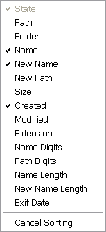 ReNamer Files Table Columns.png